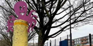 Plan voor opknapbeurt Balboaplein: meer speelmogelijkheden en groen