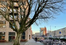 Cameratoezicht in Kolenkitbuurt vanwege ‘structurele overlast’