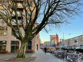 Geld voor verbeteren winkelgebied Bos en Lommerweg