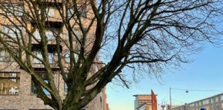 Cameratoezicht in Kolenkitbuurt vanwege ‘structurele overlast’