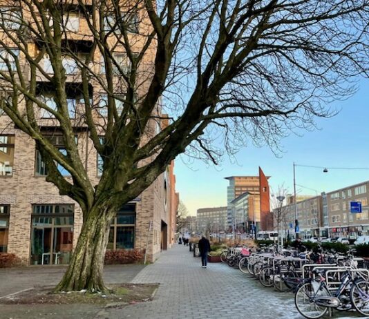 Geld voor verbeteren winkelgebied Bos en Lommerweg