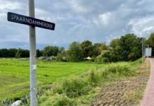 ‘Versnipperd’ groen Westerpark straks recreatiegebied voor bewoners nieuwbouw