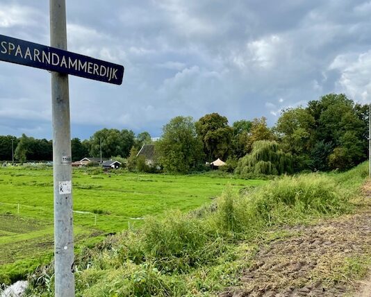 ‘Versnipperd’ groen Westerpark straks recreatiegebied voor bewoners nieuwbouw