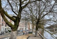 Wandelboulevard in wording langs de Nassaukade