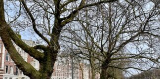 Wandelboulevard in wording langs de Nassaukade