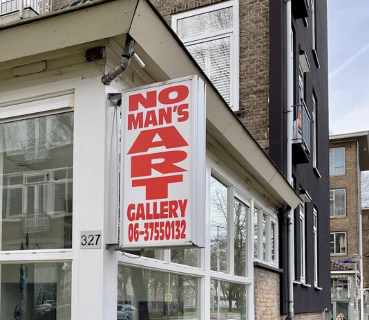 Museum West: 17x kunst kijken in onze buurt