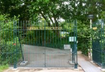 Loodverontreiniging in volkstuinen Sloterdijkermeer en Nut en Genoegen