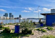 ‘Laagdrempelig en betaalbaar’ Niemandsland komt naar Stenen Hoofd