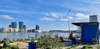 ‘Laagdrempelig en betaalbaar’ Niemandsland komt naar Stenen Hoofd