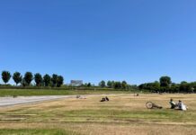 Mogelijk boete festivals voor beschadigen grasmat Westerpark