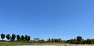 Mogelijk boete festivals voor beschadigen grasmat Westerpark