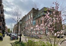 Inloophuis in Oud-West voor slachtoffers seksueel geweld