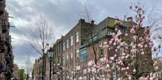 Inloophuis in Oud-West voor slachtoffers seksueel geweld