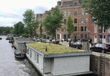 Weer subsidie voor groen dak en vergroenen tuin