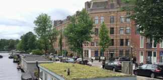 Weer subsidie voor groen dak en vergroenen tuin