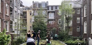 Grauwe schuurdaken in Oud-West nu groen door bewonersinitiatief