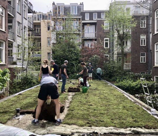 Grauwe schuurdaken in Oud-West nu groen door bewonersinitiatief