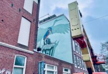 Vogels verschijnen op blinde muur Van Hallstraat