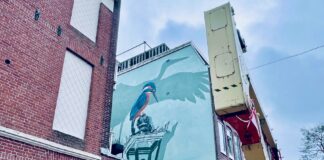 Vogels verschijnen op blinde muur Van Hallstraat