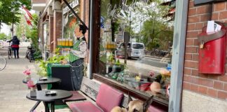 Kalme caféhond Rex is niet meer – ‘We gaan hem missen’