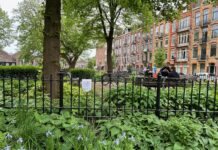 Bewoners Bellamyplein zijn drollen en zwerfvuil zat