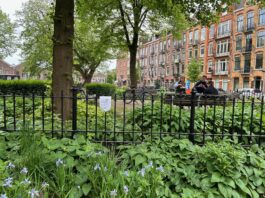 Bewoners Bellamyplein zijn drollen en zwerfvuil zat