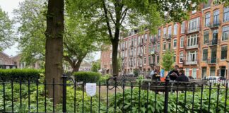 Bewoners Bellamyplein zijn drollen en zwerfvuil zat