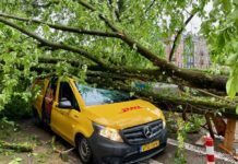 Pakketbezorger ongedeerd na vallende boom op bestelbus