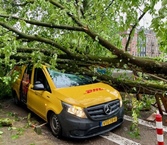 Pakketbezorger ongedeerd na vallende boom op bestelbus