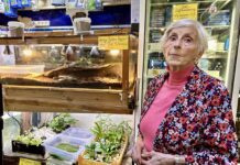 Unieke aquarium-speciaalzaak sluit de deur na meer dan 50 jaar