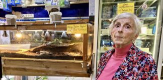 Unieke aquarium-speciaalzaak sluit de deur na meer dan 50 jaar