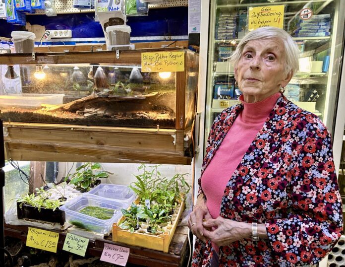 Aquariumhuis Loesje Hovestad-Van Koert