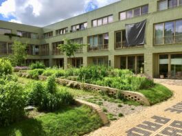 Festival Open Tuinen West ontsluit twee nieuwe verborgen paradijsjes