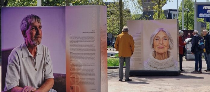 intersekse_fotopanelen