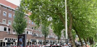 Grote boom Jan van Galenstraat valt opeens dwars over fietspad en weg