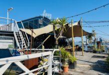 Het leven en de liefde vieren op Ferry’s pont in Houthaven