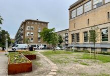 Groen op voormalige parkeerplaats in Bos en Lommer