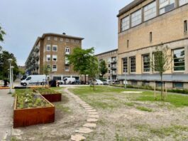 Groen op voormalige parkeerplaats in Bos en Lommer