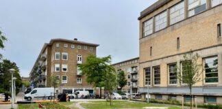 Groen op voormalige parkeerplaats in Bos en Lommer