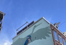 West Begroot: kom met ideeën om buurten mooier, gezelliger, groener of beter te maken