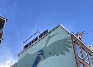 West Begroot: kom met ideeën om buurten mooier, gezelliger, groener of beter te maken