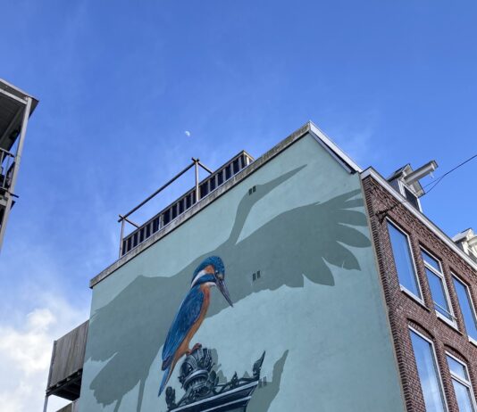 West Begroot: kom met ideeën om buurten mooier, gezelliger, groener of beter te maken