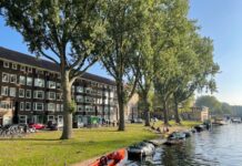 Populieren Postjeskade gered? Stadsdeel ziet toch mogelijkheden voor behoud