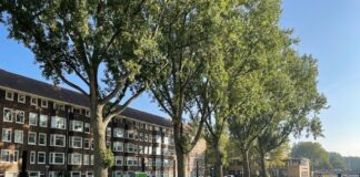 Populieren Postjeskade gered? Stadsdeel ziet toch mogelijkheden voor behoud