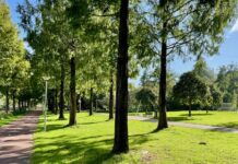 Opknapbeurt Gerbrandypark met schoon peuterbad, wc, picknicktafels en meer groen
