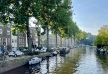 Langs de Postjeskade worden 35 bomen gekapt vanwege veiligheidsrisico’s