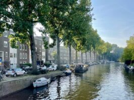 Langs de Postjeskade worden 35 bomen gekapt vanwege veiligheidsrisico’s