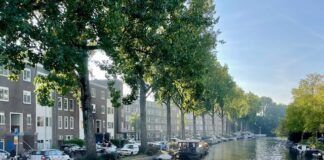 Langs de Postjeskade worden 35 bomen gekapt vanwege veiligheidsrisico’s