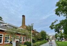 Ooievaarsjong Westerpark gered door brandweer en Dierenambulance