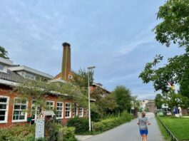 Ooievaarsjong Westerpark gered door brandweer en Dierenambulance